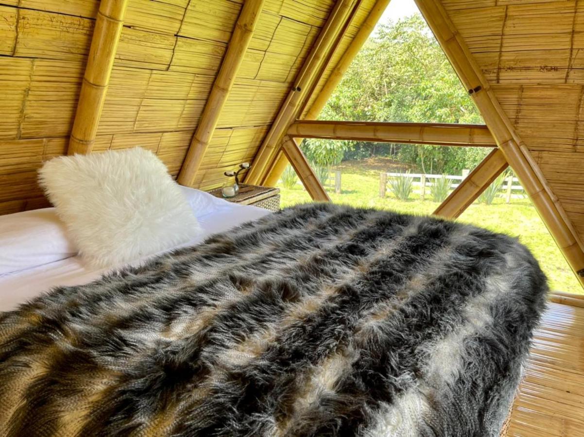 Glamping La Herradura Luxuszelt